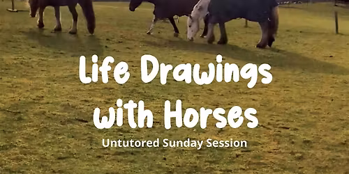 ART & HORSES