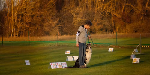 V\u00fdcvikov\u00fd t\u00e1bor dogdancingu a rally obedience 2026