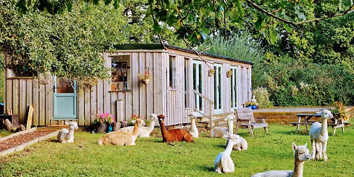 Spring Awakening Mini Retreat @ Dartmoor Reach Alpaca Farm