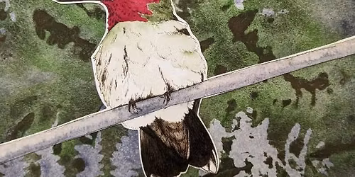 November Art Walk Edmonds