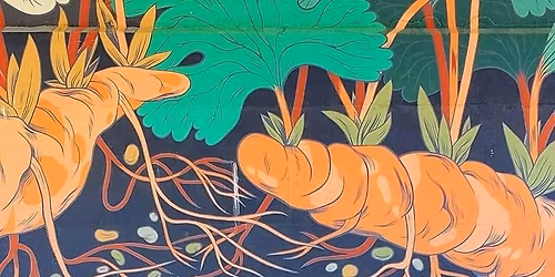 Neighbourhood Network 