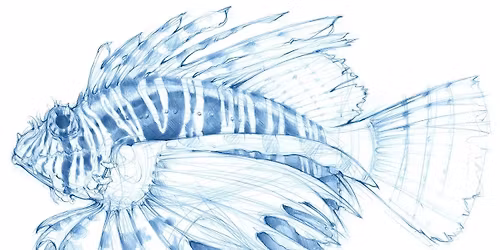 Organic Sketching Workshop