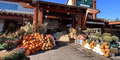 Grupo de conversaci\u00f3n en espa\u00f1ol