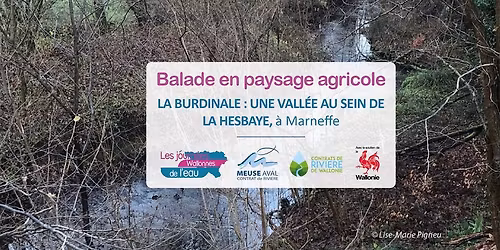 La Burdinale : une vall\u00e9e au sein de la Hesbaye