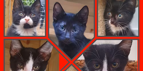 An evening of mediumship with Becs