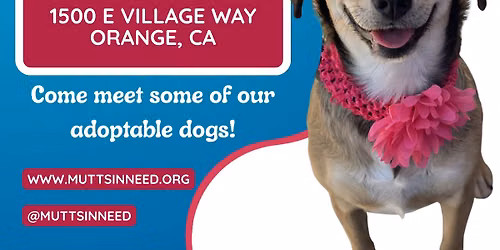 Dog Adoption Event at Petsmart Orange