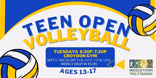 Teen Open Volleyball