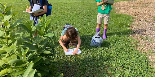 Nature Journaling and Crafts