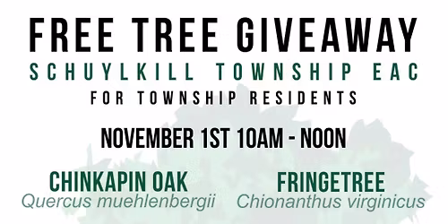 Free Tree Giveaway