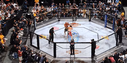 UFC Fight Night - TBD vs TBD at Toyota Center - TX