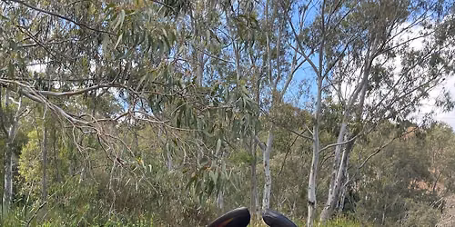 Geelong Canoe Club Sept Holiday Paddle Program 
