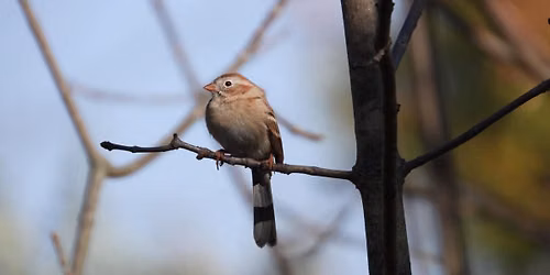 Bird Walk at Barnes Preserve with Brenda Meese