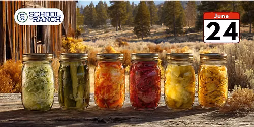 Fermentation 101: An Easy Path to Probiotic Perfection