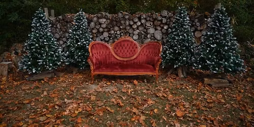 Log Wall Christmas Minis