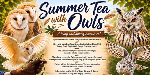 Summer Tea with Owls