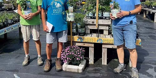 Mini Meadows That Bring Life to Your Yard Tim Kane American Beauties