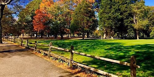 Singles Walk- Bayside- - first 25 Registrations Free