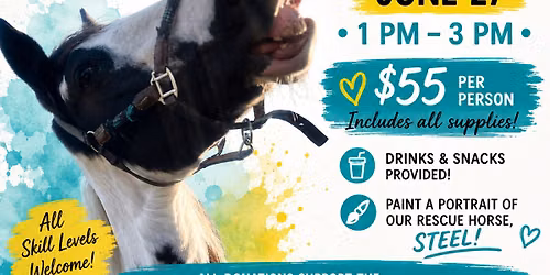 Painting with Ponies