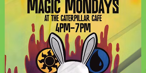 Magic the Gathering Casual Play