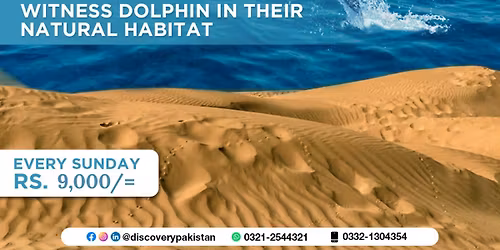 DOLPHIN WATCHING TRIP | DAMB BALOCHISTAN
