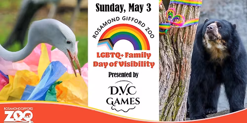 LGBTQ+ Family Day of Visibility Presented by D.V.C Games
