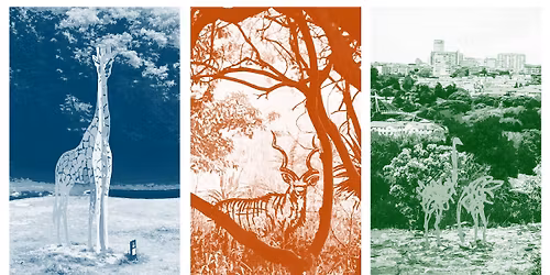 Saturday 7am @ The Wilds