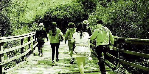 Step Into the Fun: Community Walking Day!