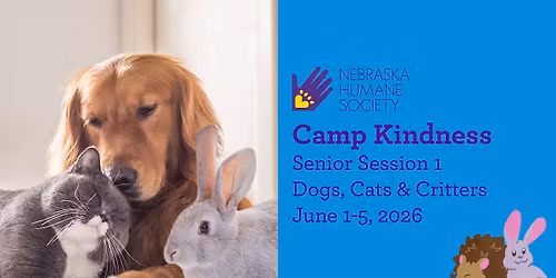 Camp Kindness Senior Session 1: Dogs, Cats & Critters