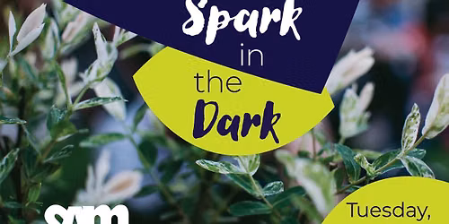 Spark in the Dark