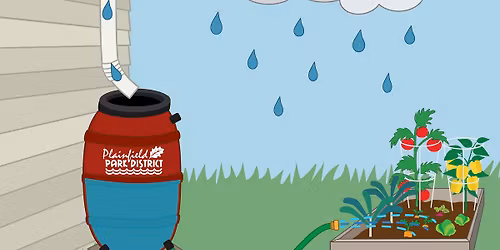 Rain Barrel Sale