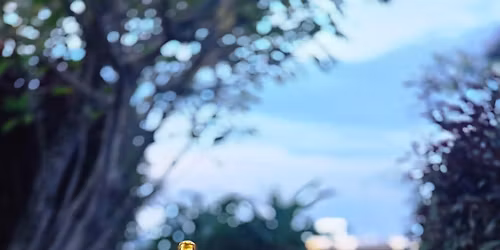 Dream Aesthetic Olympian 2025