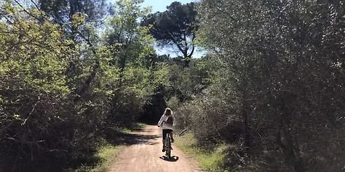 In bicicletta sul Bevano \ud83d\udeb5