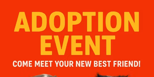 Craft Fair & Adoption Event! 