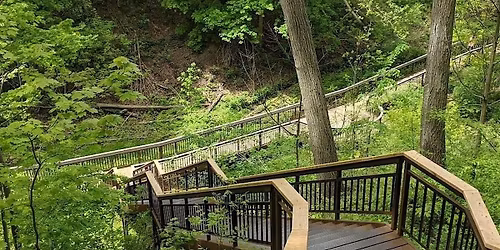 North Toronto Ravine Walk\/Hike - Neurodiverse & HSPs of Toronto