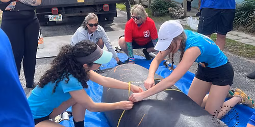 New Year\u2019s Crystal at Oceana Theater