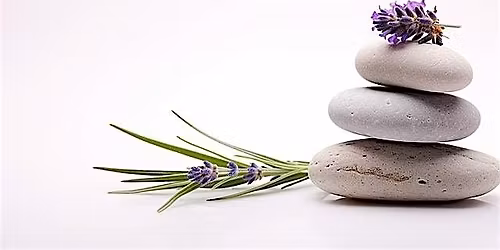 The Embark Experience: A Personalized Wellness Open House