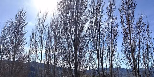 \ud83c\udf42Sacred Autumn Retreat: Root & Rise\ud83c\udf42Chelan, WA