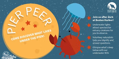 Pier Peer at Boston Harbor Marina