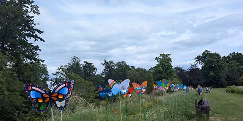 Extra Wellbeing Walk - Burghley House