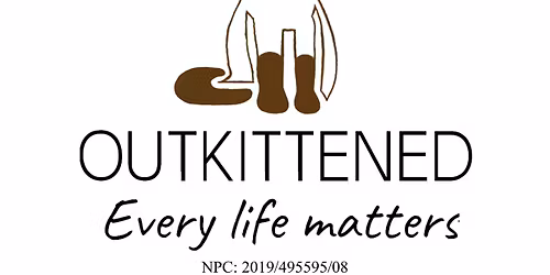 Outkittened Christmas Fun Run