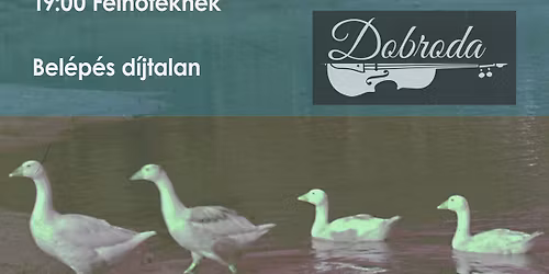 M\u00e1rton-napi t\u00e1nch\u00e1z a Fels\u0151t\u00e1rk\u00e1nyi Faluh\u00e1zban