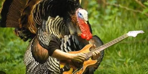 Pre-Turkey Day Show with Jage in Rockdale!