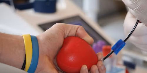 Modr\u00e1 d\u00e1v\u00e1 \u010dervenou: Odb\u011br krve v Lu\u017e\u00e1nk\u00e1ch