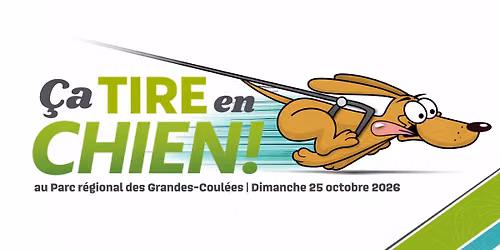 Ça tire en chien - 4e édition
