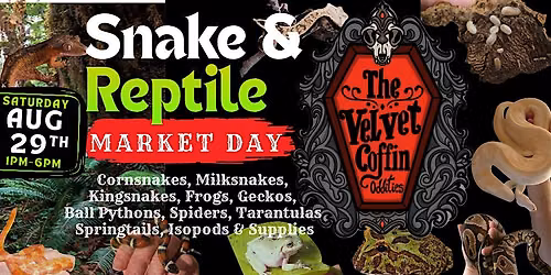 Snake & Reptile Market
