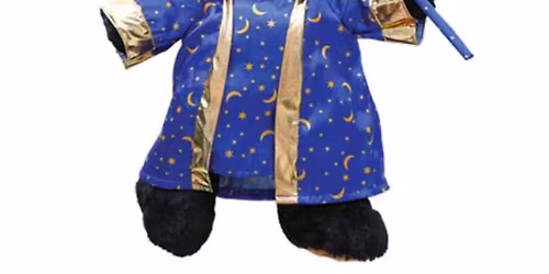 Build A Wizard Bear Workshop