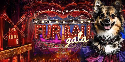 Fur Ball Gala