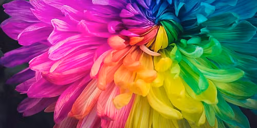 Sheboygan Area LGBTQ Support Group May Meeting