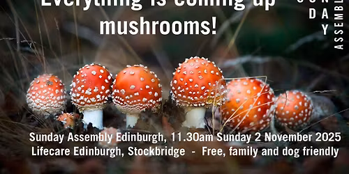 Sunday Assembly: Everything is coming up mushrooms!
