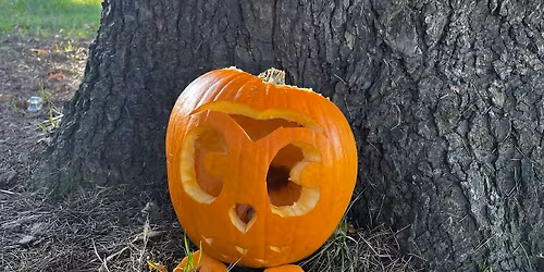 Halloween Pumpkin Trail